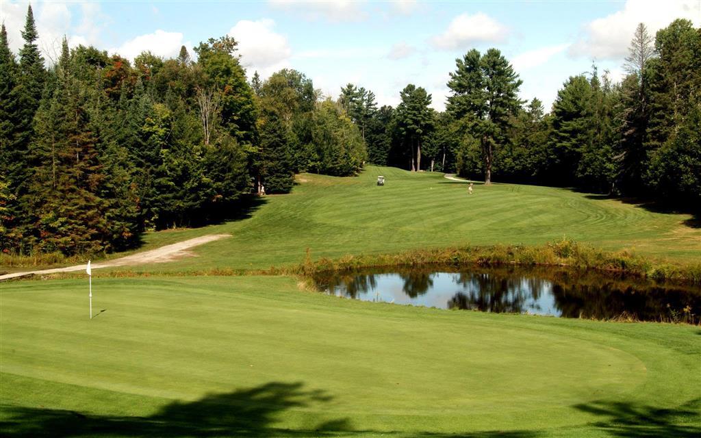 Pinestone Resort, Conference Centre, Spa & Golf Course Haliburton Ανέσεις φωτογραφία